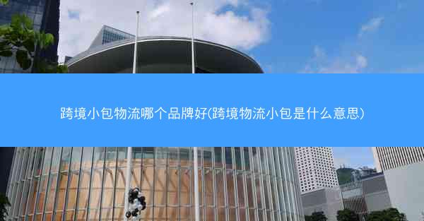 跨境小包物流哪个品牌好(跨境物流小包是什么意思)