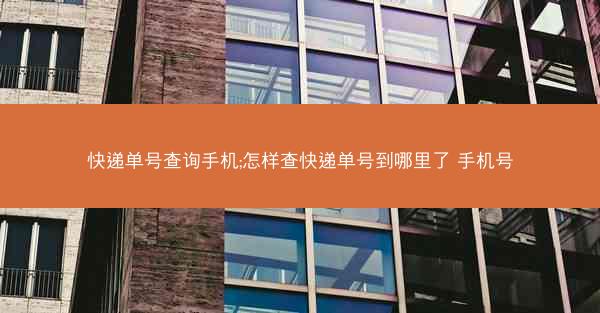 快递单号查询手机;怎样查快递单号到哪里了 手机号