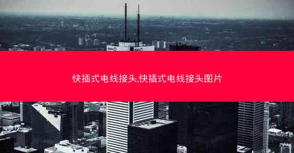 快插式电线接头,快插式电线接头图片
