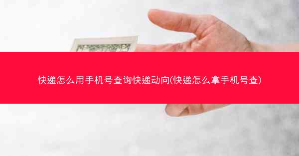 快递怎么用手机号查询快递动向(快递怎么拿手机号查)