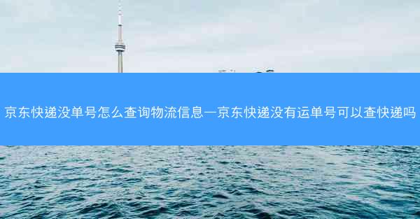 京东快递没单号怎么查询物流信息—京东快递没有运单号可以查快递吗