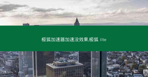 极狐加速器加速没效果,极狐 lite