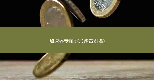 加速器专属id(加速器别名)