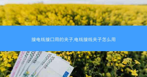接电线接口用的夹子,电线接线夹子怎么用