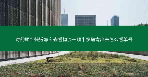 寄的顺丰快递怎么查看物流—顺丰快递寄出去怎么看单号
