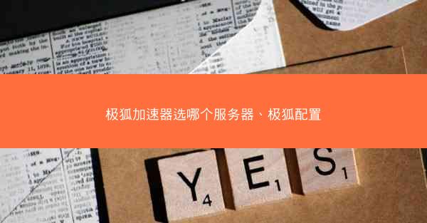 极狐加速器选哪个服务器、极狐配置