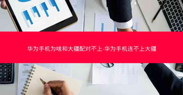 华为手机为啥和大疆配对不上-华为手机连不上大疆