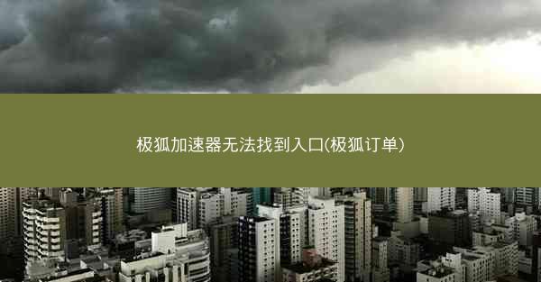 极狐加速器无法找到入口(极狐订单)
