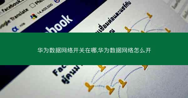 华为数据网络开关在哪,华为数据网络怎么开