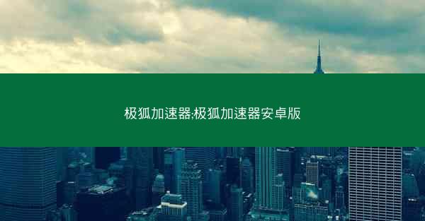 极狐加速器;极狐加速器安卓版