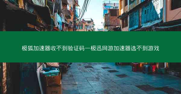 极狐加速器收不到验证码—极迅网游加速器选不到游戏